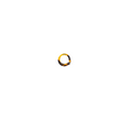 ANILLO CAREY