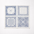 BANDANA PASLEY