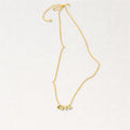 COLLAR SORBET